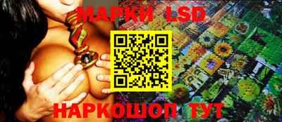кокс Донской