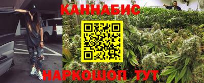 кокс Донской