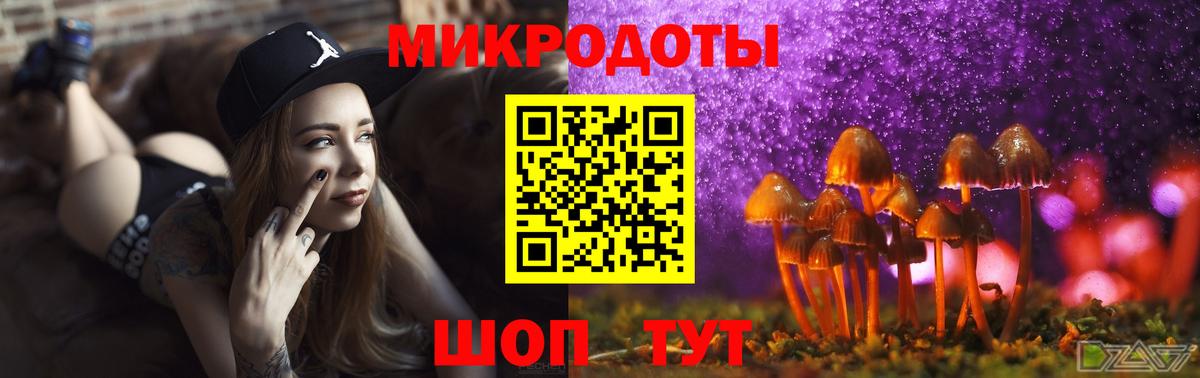 Псилоцибиновые грибы Psilocybe Курчатов