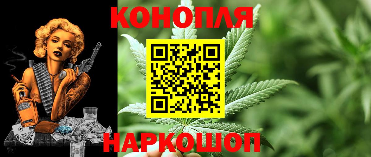 Курчатов  Шишки марихуана сатива  Вход с VPN  Конопля сатива  Марихуана Ganja  Марихуана сатива 